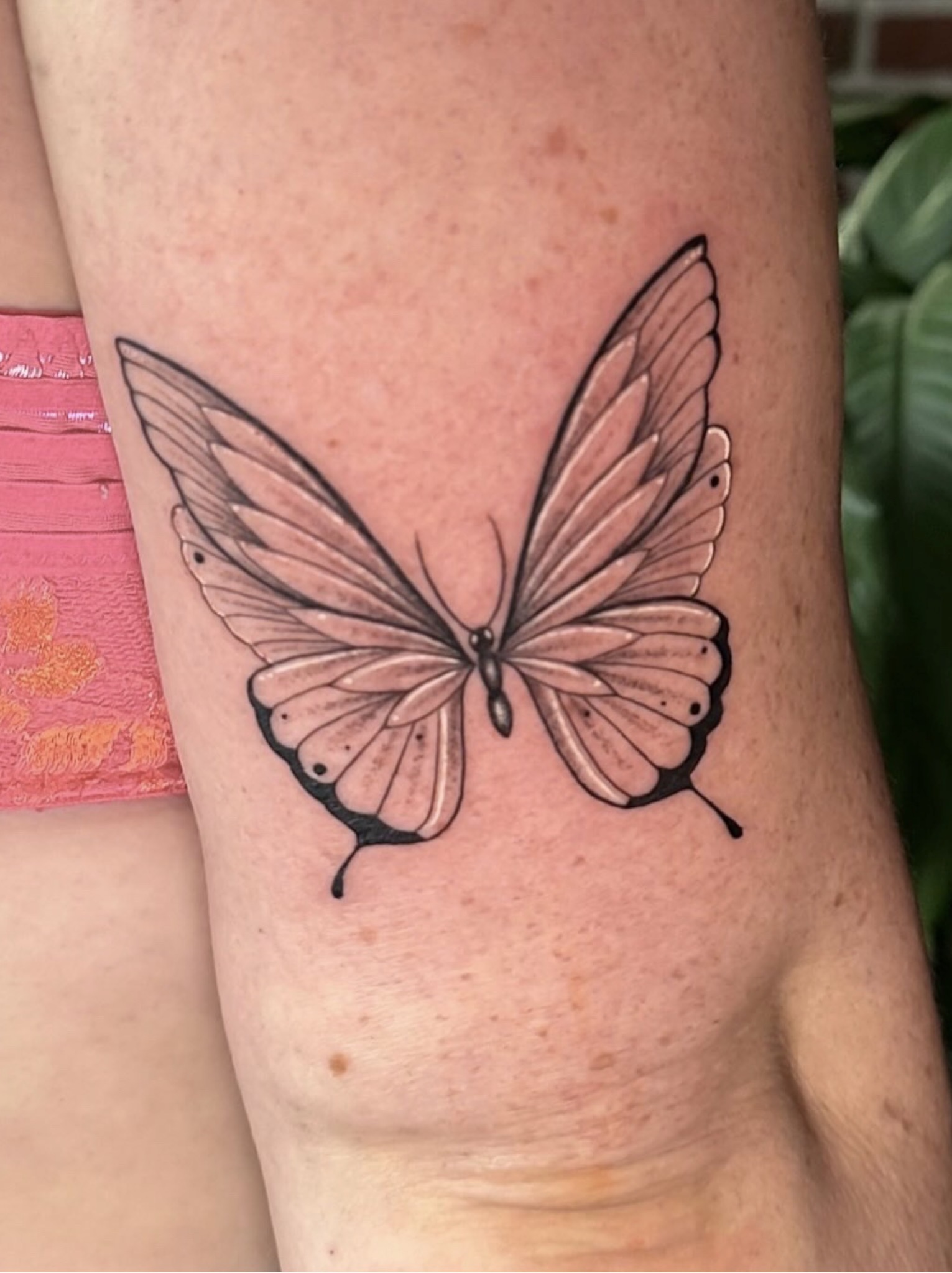 Vlinder tattoo met zachte kleur